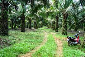 Gambar Mitra